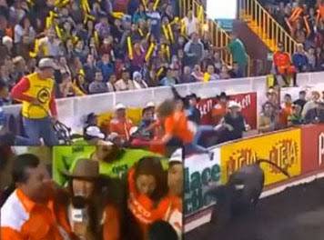 ثور ينطح فتاة ويطيرها بالهواء... شاهد الفيديو