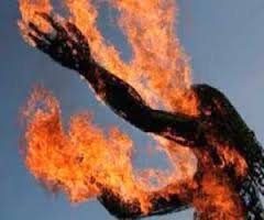 فيديو لاصحاب القلوب القوية.. غضب من زوجته فاشعل النار برأسها بالشارع..!