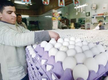 رفض الزراعة استيراد البيض يرفع أسعاره