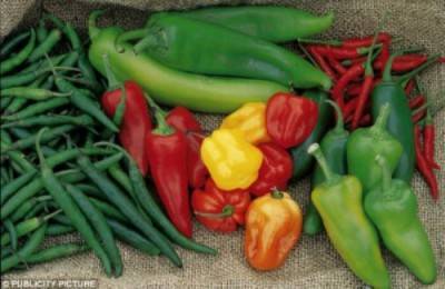 زوجين يعذبان طفلة بإدخال الفلفل في أعضائها التناسلية