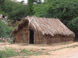 ضبط شيخ قبيلة يمارس الزنا مع مطلقة بكوخ