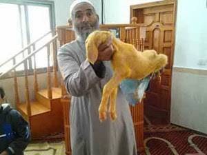 ولادة خروف دون رأس .. وصاحبه يعرضه لأخذ العبرة .. شاهد الفيديو