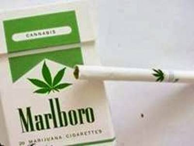 مارلبورو تبدأ بطرح “سجائر بالماريجوانا” في الأسواق