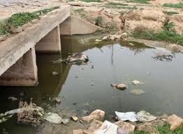 حملة لمكافحة التلوث بمنطقة مزارع الابقار في الضليل