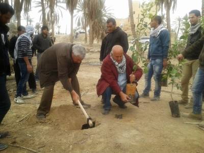 العربية تزود قرية عين حجلة في الأغوار الفلسطينية بـ150 شجرة