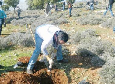 البنك العربي: نشر الوعي بمبادرات وثقافة المسؤولية الاجتماعية مكوّن أساسي لـالاستدامة