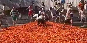 حرب الطماطم تشتعل... شاهد الفيديو