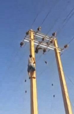 فيديو مؤلم.. طفل يتسلق برج كهرباء الضغظ العالي لتصعقه الكهرباء وتقتله..!