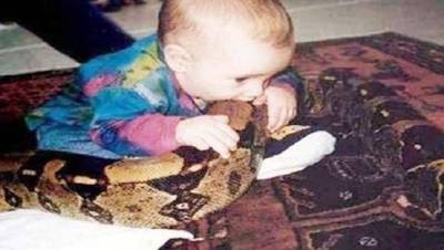 طفل في عامه الثاني يلتهم رأس ثعبان