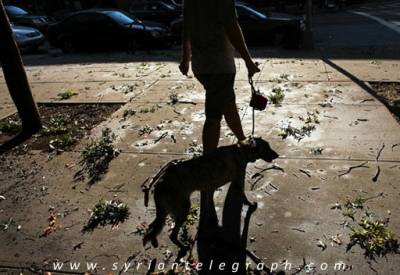 مواطن روسي يعضّ كلب حماية