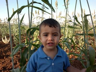 أحمد حسين الضيافلة... يطفىء الشمعة الثالثة