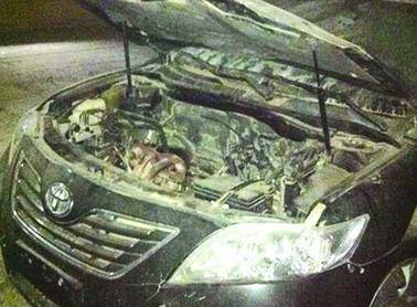 السعودية تستعيد 25 سيارة مسروقة في الأردن من أصل 57