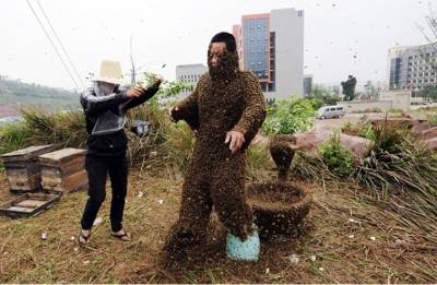 صيني يغطي جسمه بـ460 ألف نحلة للترويج لعسله