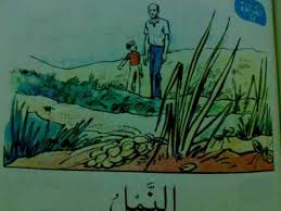 مناهج جديدة اعتباراً من العام الدراسي المقبل ..