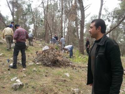 مديرية زراعة المزار الشمالي بدأت حملة جمع الاغصان الجافة