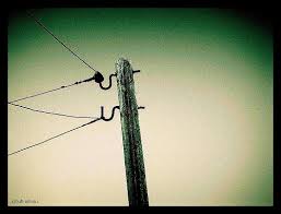 تعليق نائب  على عمود كهربائي لاختلاسه المال العام ..شاهد الصورة