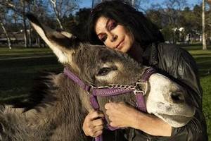 أمريكية تتزوج من حمار بعد قصة حب استمرت عامين