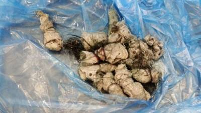 فتاة تخرج سحراً من بطنها