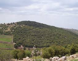 المجالي يرعى فاعاليات افتتاح مؤتمر التمكين الديمقراطي للشباب في عجلون (مصور)