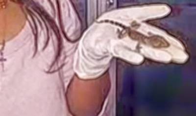 فيديو: إندونيسية تلد سحلية.. والسلطات تتحرى