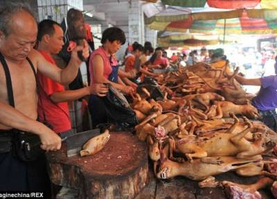 بالصور... «أقذر» احتفال في العالم.. «تناول كلبك المفضل»