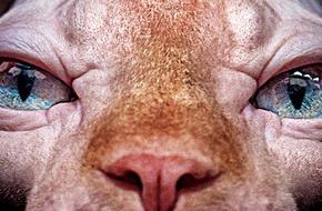 بالصور: 13 حيواناً سوف يدهشك شكلها دون شعر يكسوها