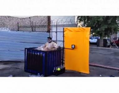 بالفيديو: رجل يغطس في خزان كوكاكولا ليثبت أن معدته لن تنفجر