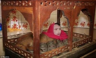 آلاف الزوار يحتشدون لرؤية المخلوق الأسطوري نصف امرأة ونصف ثعلب...فيديو