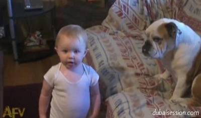 صور | طفل رضيع يدخل في مناقشة حادة مع كلب ويصيبه بالإحباط