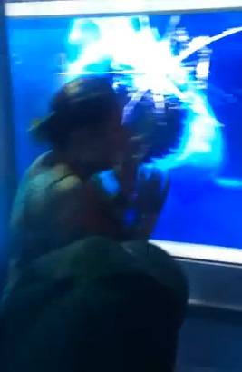 بالفيديو.. قرش يحطّم زجاج الحوض ليهاجم سيدة!