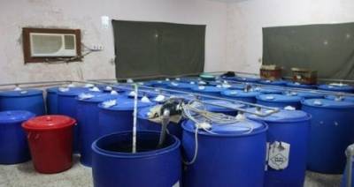 السعودية..ضبط مصانع تنتج خموراً بنكهة الفئران