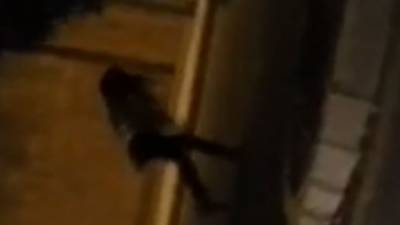 بالفيديو: فتاة سكرانة ترقص في شوارع لبنان وتتعرض للتحرش..!