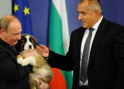 هدايا رؤساء الدول: دمى وأحصنة وكلاب وأحجار من القمر