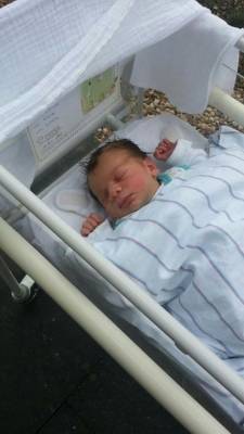 مبروك للزميل زياد البطاينه حفيده الجديد