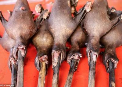 أشهى مشويات إندونيسيا: ثعابين وأجنحة خفافيش وفئران وكلاب (صور)