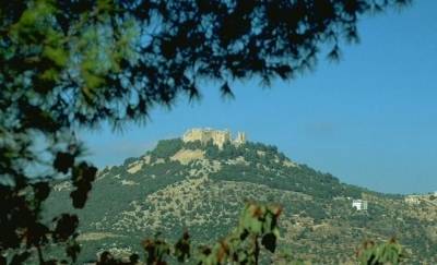 عجلون: ضرب جاب للمياه وسلب أمواله