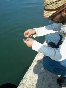 نص مشترك  في الحرب كلُ شيء