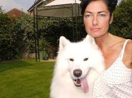 صورة : جراحة لكلب مدمن على أكل السراويل الداخلية