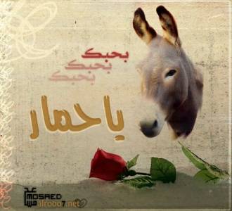 بالفيديو طلقها بعد ساعة من الزواج بسبب اغنية بحبك يا حمار..!