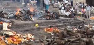 فيديو مروع +18 ... شاهد أكلة لحوم البشر يتناولون لحوم الجثث