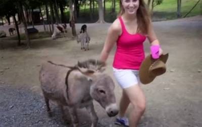 بالفيديو... حمار يغار على فتاة بطريقته الخاصة