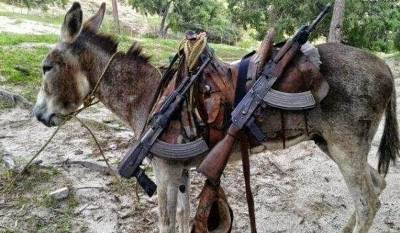 داعش يكشف عن أول حمار مجند لديه!