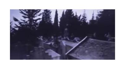 بالفيديو لبناني «نبش» قبر والدته والتقط «سيلفي» معها