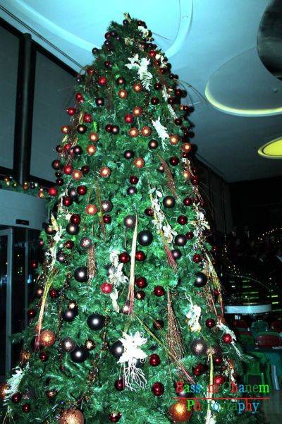 إضاءة شجرة عيد الميلاد في فندق الميلينيوم