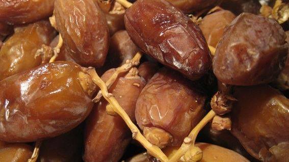 حقيقة صادمة عن حبة التمر!