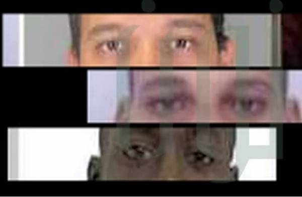 صحفية تشكك برواية الحكومة لـشارلي إيبدو (فيديو)