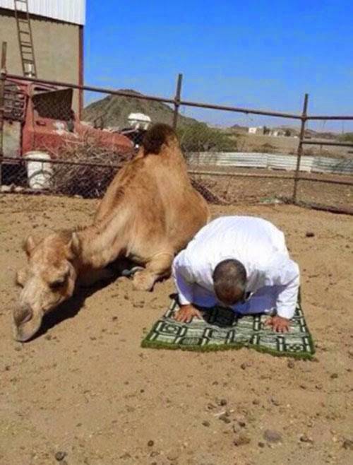 سبحان الله الذي يسبح بحمده كل شيء ... صور غريبة