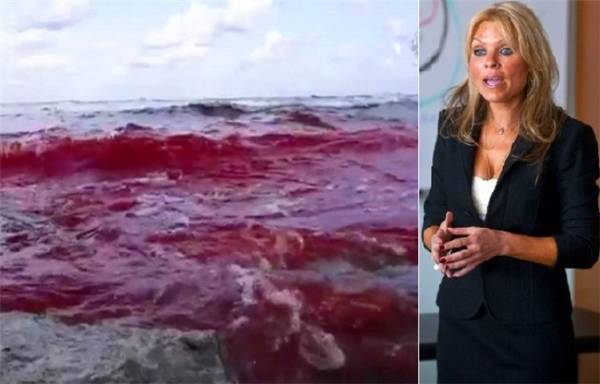 بالصور.. خبيرة إرهاب: فيديو ذبح المصريين مفبرك بالمونتاج