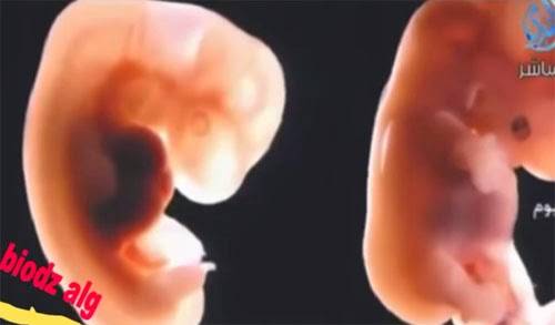 شاهد ماذا يحدث للجنين بعد اليوم 42 ؟!!! سبحان الله