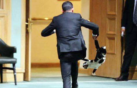 قط مجلس النواب بـسبعة أرواح تسبب بنقل احد الموظفين للمستشفى